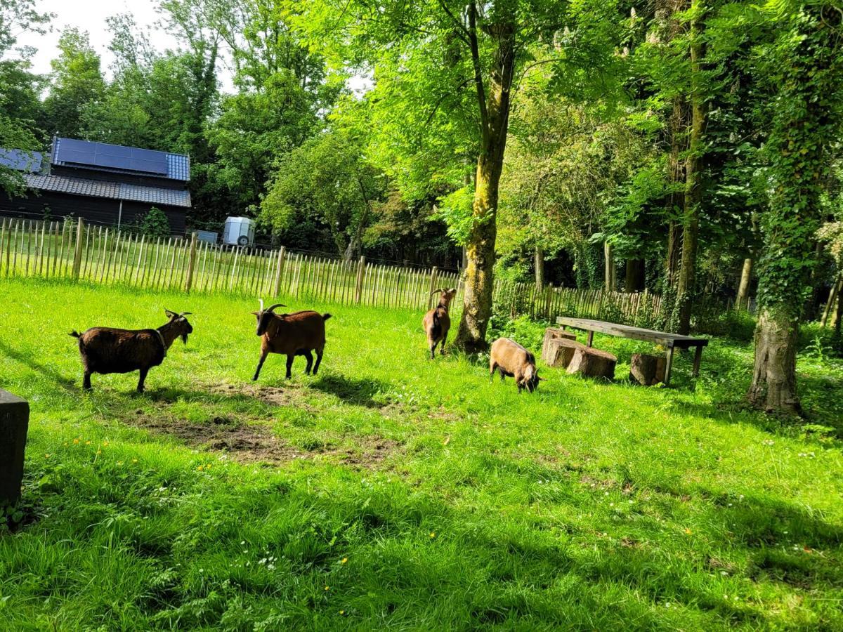 Pastorie Waaxens Bed & Breakfast ภายนอก รูปภาพ